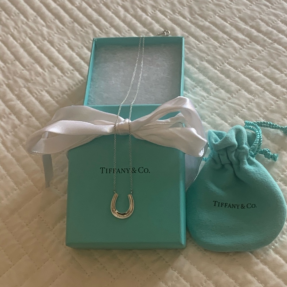 Tiffany & Co. necklace.